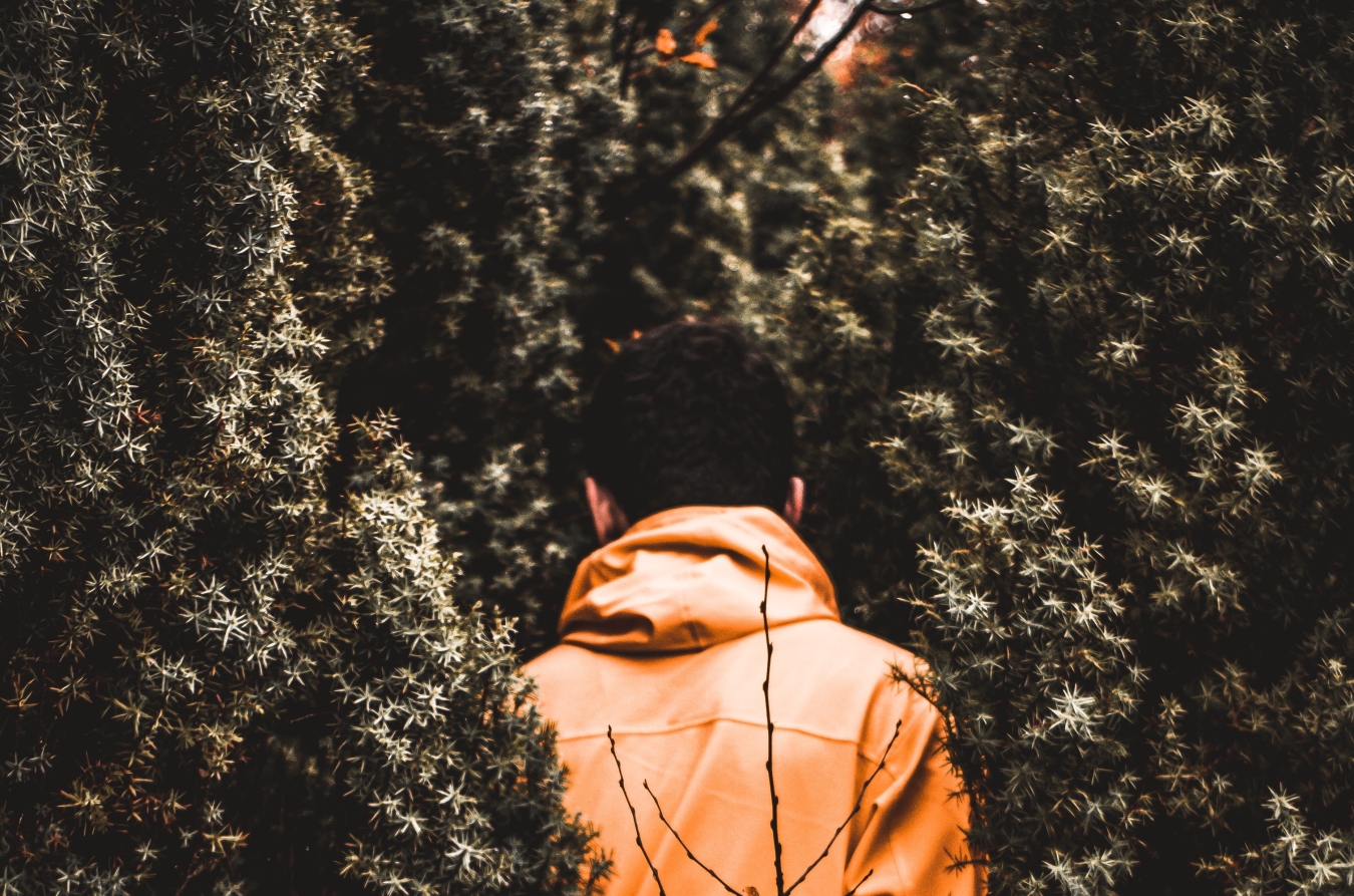 Man in rain jacket walking trough brushes
